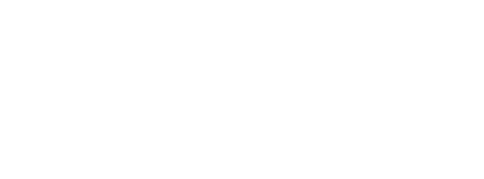 DSG Logo
