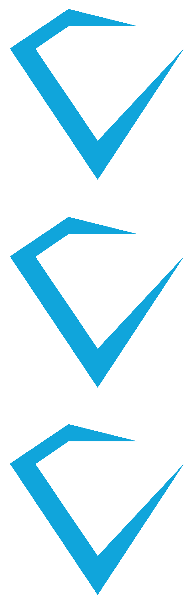 DSG Icon