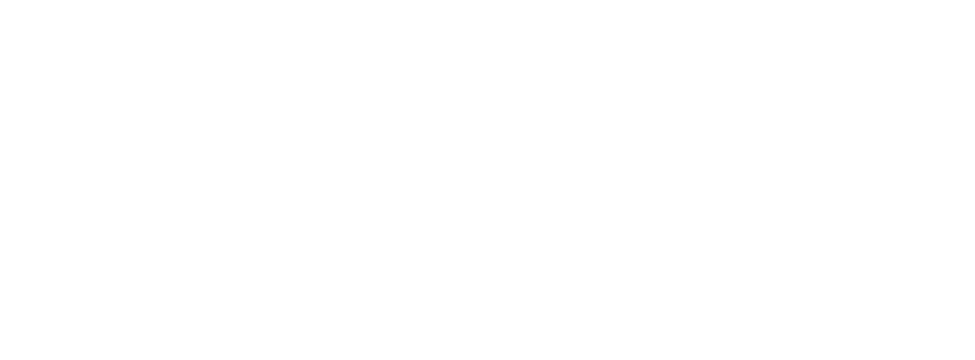 DSG Logo